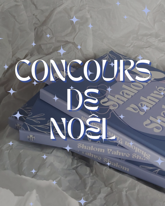 ✨CONCOURS DE NOËL ✨